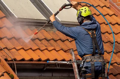 Démoussage et hydrofuge de toiture à Caubios-Loos